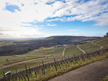 20220207142243-8719d317